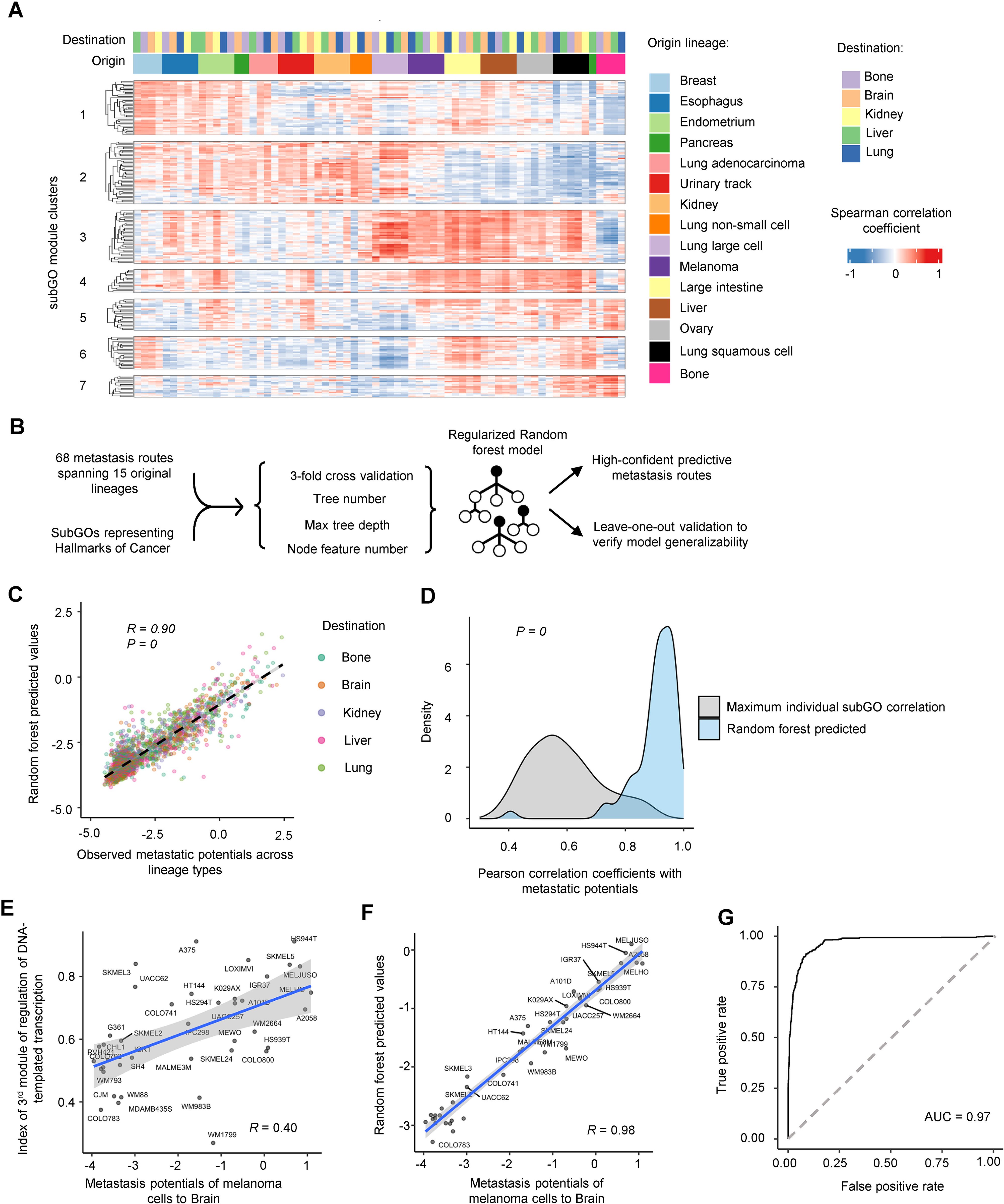 Comparative analyses of gene networks mediating cancer metastatic potentials across lineage types preview