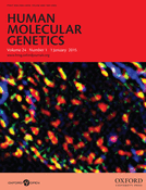 Meta-analysis of GWAS on two Chinese populations followed by replication identifies novel genetic variants on the X chromosome associated with systemic lupus erythematosus preview