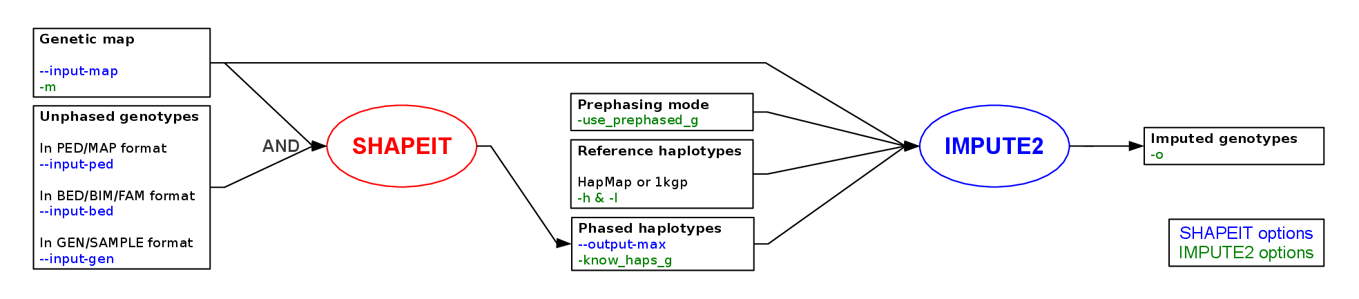 Input map