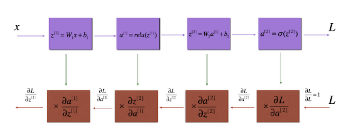 Backpropagation