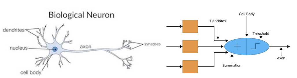 Linear Model Decision Boundaries