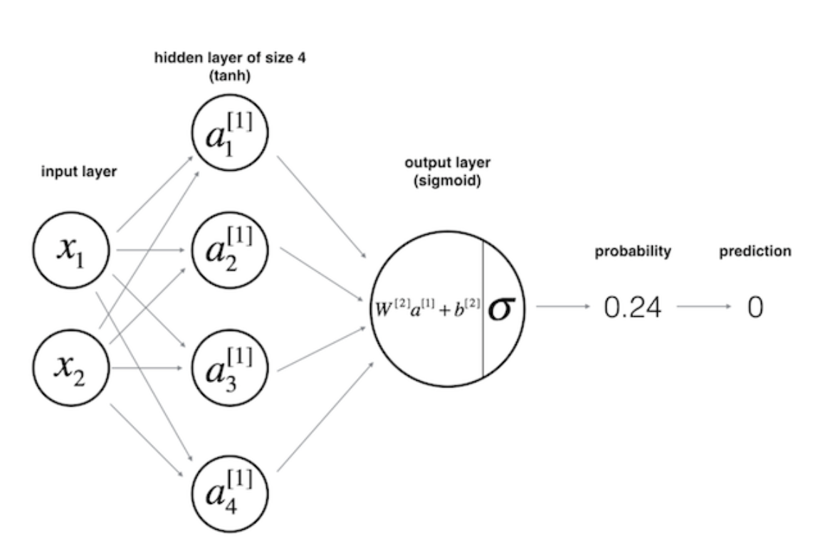 Feedforward